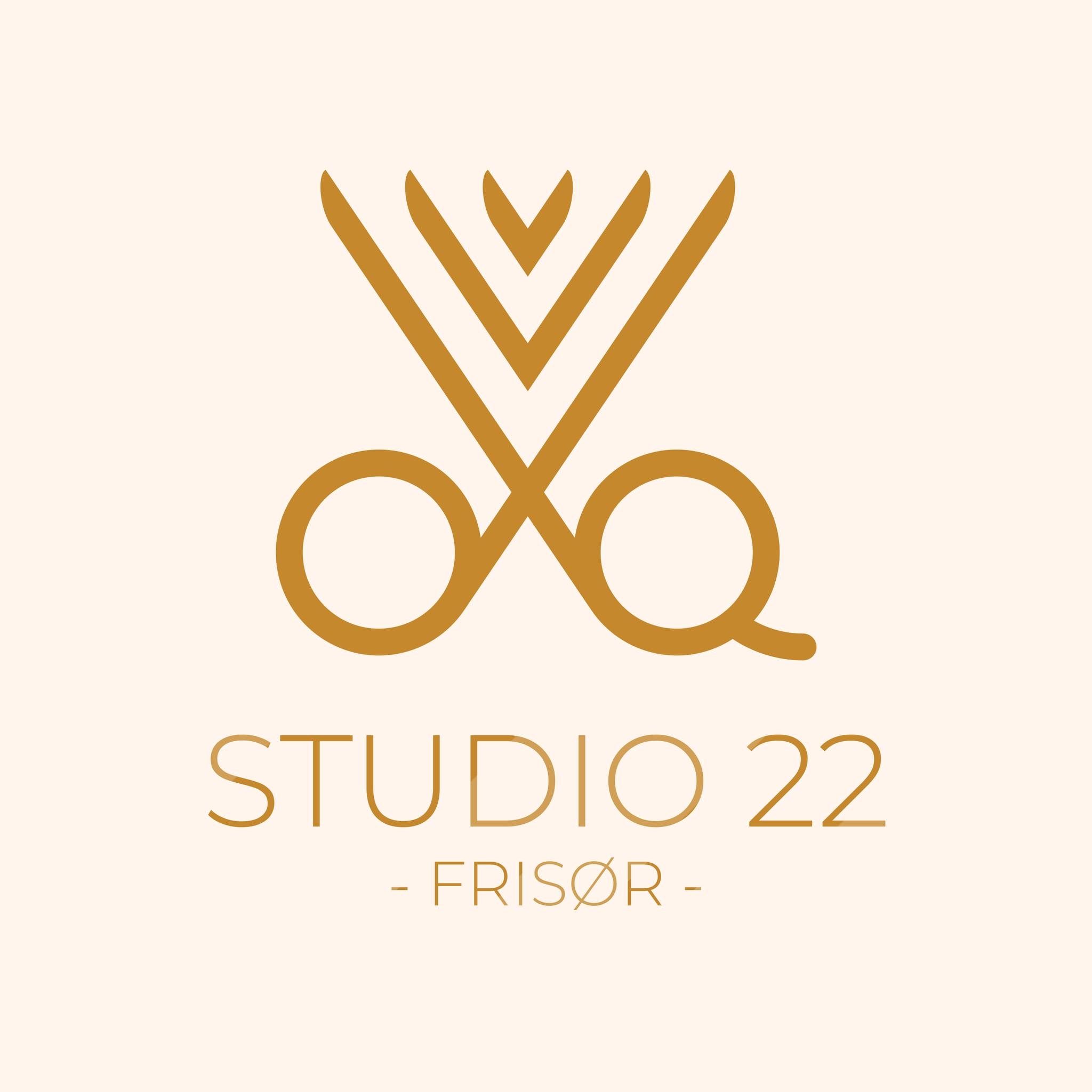 studio 22 Ballerup